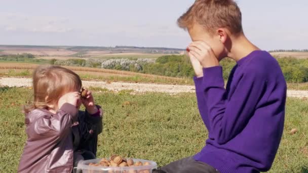 Gyerekek Jól Érzik Magukat Dióval Teli Műanyag Vödörben Családi Kertben — Stock videók