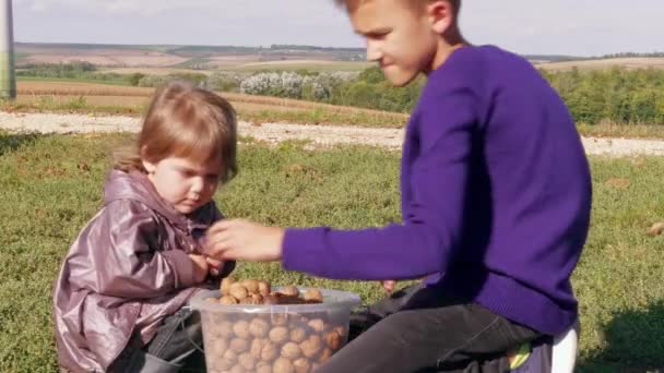 Dzieci Bawią Się Orzechami Włoskimi Pełnym Plastikowym Wiadrze Rodzinnym Ogrodzie — Wideo stockowe