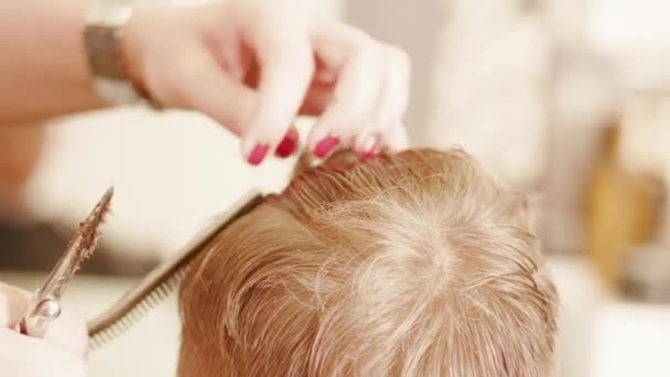 Detailní Záběr Holičských Rukou Česajících Chlapcovy Blond Vlasy Nůžkami Stříhajících — Stock video