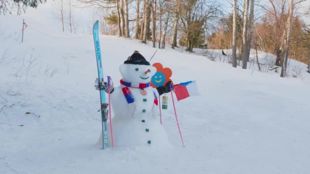 Oleshnice チェコ共和国 2019 モラヴィアのスキーリゾート スカーフの雪だるま スキー帽のニット帽 スキーリゾートのチェコ国旗とビール ハンドヘルド 空のTバーリフト 丘の上の裸の木 — ストック動画