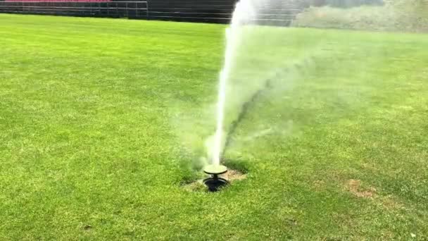 Automatische Sprinkler Besproeiing Gras Voetbalveld Zonder Mensen Handheld Strooien Van — Stockvideo