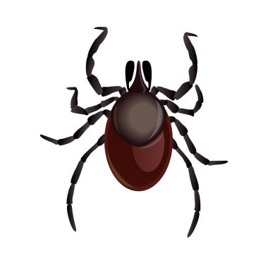 Mite parazitleri. Kene paraziti. Acarus. Akarid vektör çizimi beyaz arkaplanda izole edildi. Mite Spider. Mite alerjisi. Salgın hastalık..