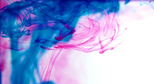 Inkousty ve vodě, barevná exploze — Stock fotografie