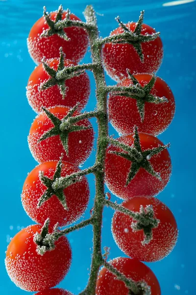 Erdbeeren Auf Blauem Hintergrund — Stockfoto