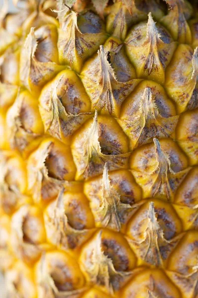 Beyaz bir arka plan üzerinde taze ananas meyve