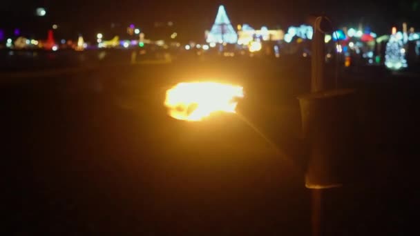 Torch brinner på havet på nyårsafton — Stockvideo