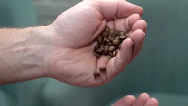 Руки закрыть, человек наливает кофейных зерен из рук в руки — стоковое видео