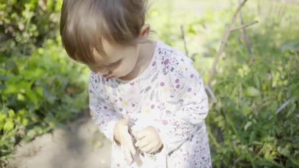 Kind scheurt gras in de tuin — Stockvideo