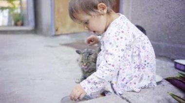 Bebek, kız, iki yaşında, kedileri kaselerden beslemeye çalışıyor.