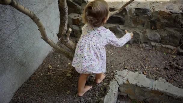 Baby loopt blootsvoets op de grond — Stockvideo