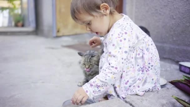 Baby, girl, two years old, tries to feed cats from bowls — Stock Video