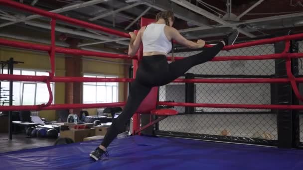 Bella donna sportiva si estende sul ring, fa spago — Video Stock