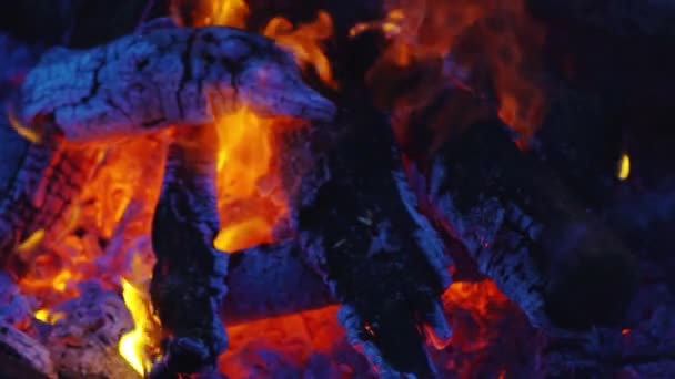 Zeitlupe brennt am Abend, Äste brennen im Feuer, Nahaufnahme — Stockvideo