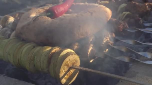 Pita bread and chili pepper on barbecue, vegetables and meat, zucchini and onions are fried on a fire — Stock Video