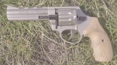 Yeşil çimenlerin üzerinde gümüş bir tabanca yatıyor.