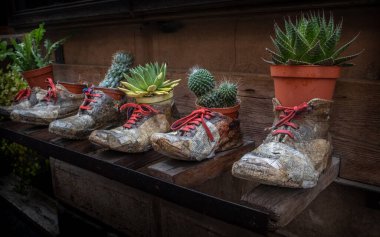 recycled boots with pots and plants inside clipart