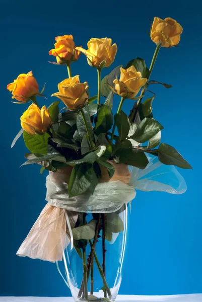 Bouquet of beautiful yellow roses on blue background — Stock Photo, Image