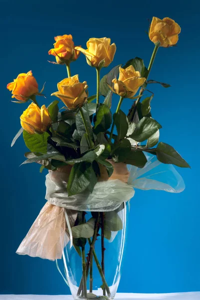 Bouquet of beautiful yellow roses on blue background