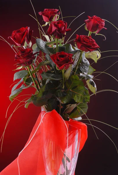 Bouquet of beautiful red roses on a dark red background — Stock Photo, Image