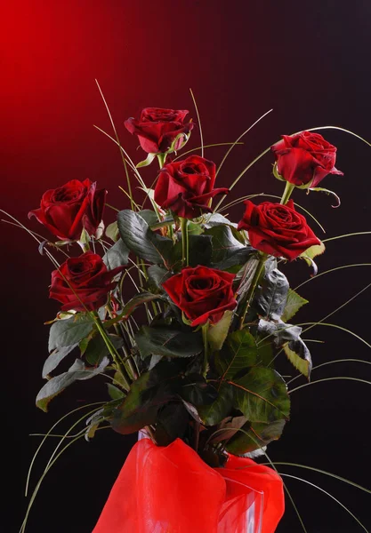 Bouquet of beautiful red roses on a dark red background — Stock Photo, Image