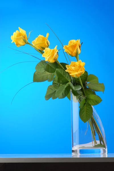 ช่อดอกกุหลาบสีเหลืองที่สวยงามบนพื้นหลังสีฟ้า — ภาพถ่ายสต็อก