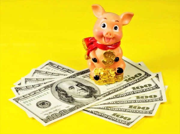 Ušetřete Peníze Nahromaděte Skladujte Rozumné Hledat Přínosy Efektivně Plánovat Finančním — Stock fotografie