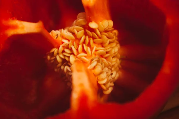 Macro Red Bell Paper Seeds Fresh Food — Stock Photo, Image