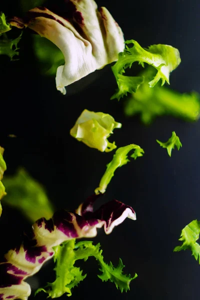 Levitazione Foto Cibo Insalata Fresca Con Cetriolo Serpente Sano — Foto Stock