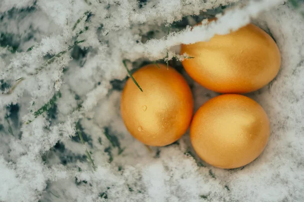 Karlı yüzeyde saklı altın yumurtalar var. Donmuş çimenler. Bahar erken geldi. Mevsim duvar kâğıdı. Zengin konsept 