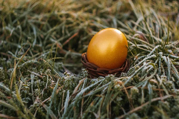 Gyllene Ägg Vårgräs Solig Dag Påsk Tapet Kopiera Utrymme Ägg — Stockfoto