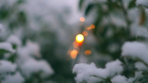 Närbild Glitter Snöig Bakgrund Video Jul Firande Bakgrund — Stockvideo