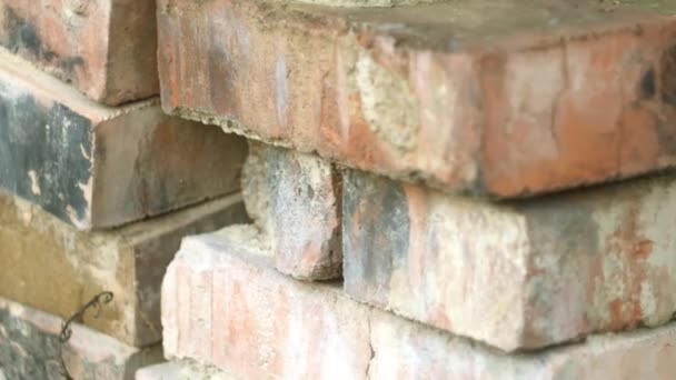 Close Bricks Texture Building Concept Wall Bricks — 비디오