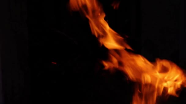 Orange Fire Flame Black Background Video Effects Close Fire Isolated — Stok video