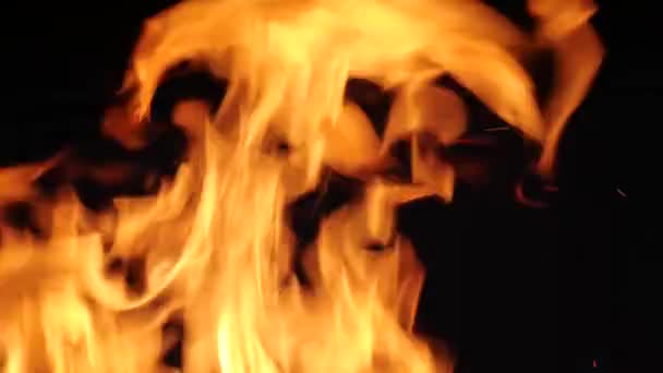 Orange Fire Flame Black Background Video Effects Close Fire Isolated — Stock Video
