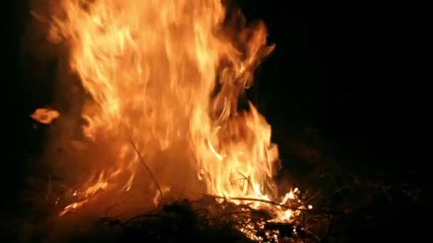 Sluit Het Brandende Gedroogde Gras Het Bos Nachts Bosbrand — Stockvideo