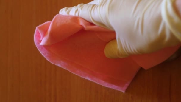Desinfectar Maçaneta Porta Conceito Empregada Doméstica Pulverização Superfície — Vídeo de Stock