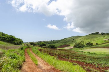 Yeşil çimenlerin ve kırmızı toprağın karışımından oluşan bir havzaya uzanan yeşil yamaçtan oluşan belirgin bir ufuk çizgisi. Manzaraya eklenen toprak yolda çim medyanı var. Yukarıda güzel soluk mavi gökyüzü kalın kümülonimbus bulutlarıyla. 