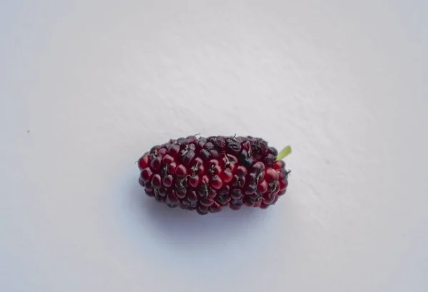 Eine Rote Und Schwarze Frühreife Isolierte Maulbeerfrucht Auf Weißem Hintergrund — Stockfoto