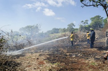Jamaika 'da uzun hortumlu itfaiye görevlileri ve yüksek enerjili su ile söndürme ve soğutma dalları ile yangın söndürme çabaları tarım arazisi hazırlığı sırasında başladı. 