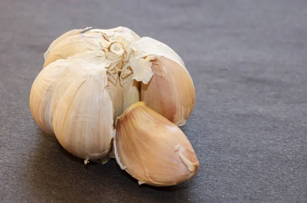 Contra Fundo Preto Uma Cabeça Allium Sativum Conhecido Como Alho — Fotografia de Stock