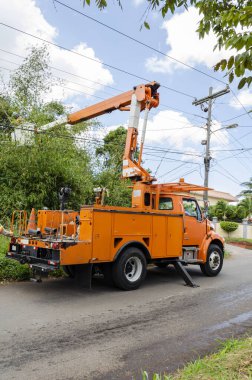 Kamyon, yol kenarına park edilmiş ve işçilerin servis kablolarıyla temas etmelerini engellemek için kestikleri aşırı gelişmiş bambuların yanında duruyor..
