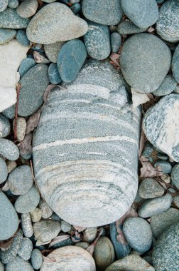 Gri yuvarlak taşlar