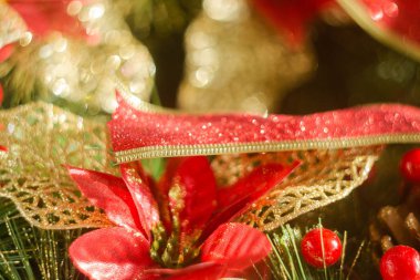 Noel fotoğrafları kesmez.