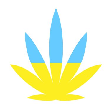 Kenevir yaprağı sarı-mavi renktedir