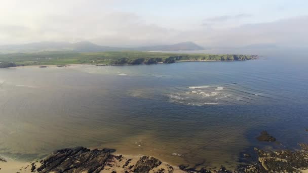 Aerial Video Flying Sheep Pastzing Field Top Sea Cliff Donegal — стоковое видео