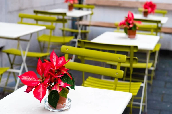 Tables, chaises et débits à la cafétéria extérieure — Photo