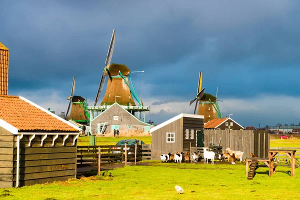 Landsbygdslandskap i byn Zaanse Schans — Stockfoto