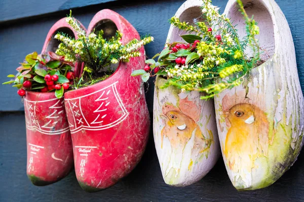 Zapatos de madera holandeses tradicionales con flores —  Fotos de Stock