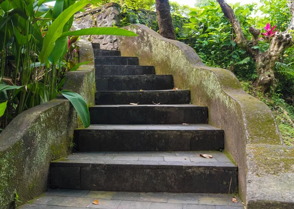 Old stone curved stairs with green exotic vegetation and moss — Stock Photo, Image