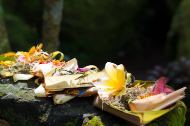 Bali geleneksel dini Balili teklifleri